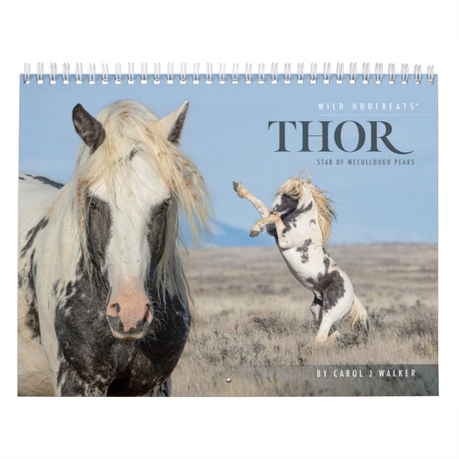 Thor, calendario de caballos salvajes (Tapa)