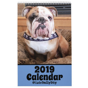 Thor el calendario del bulldog 2019
