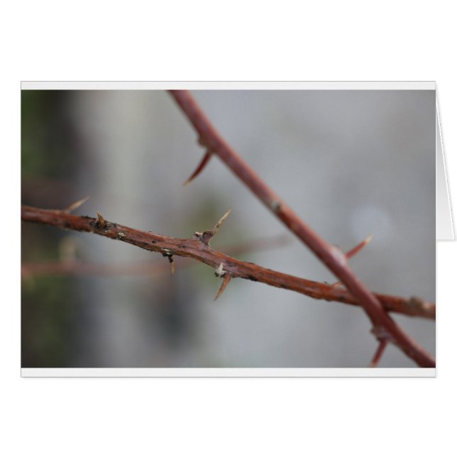 Thorns (Anverso (Horizontal))