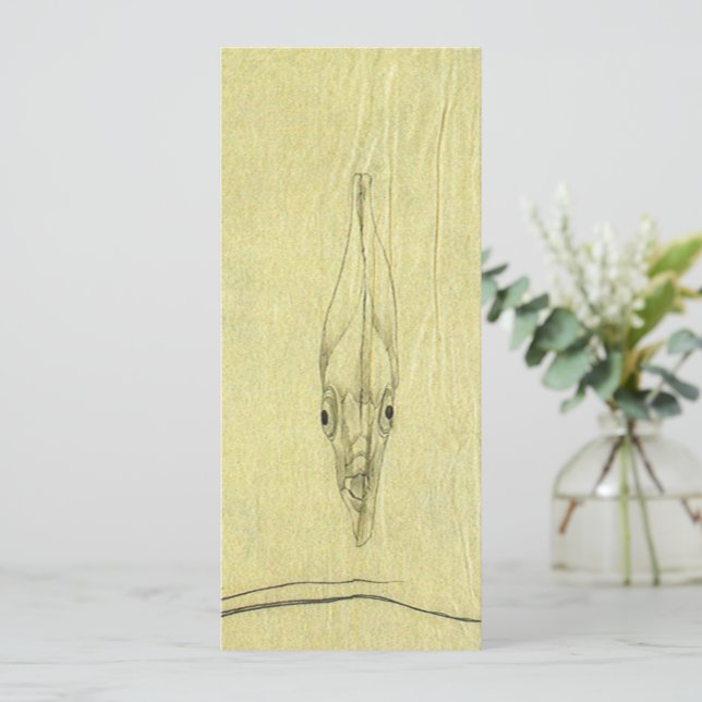 Threadfin Trevally, pez pano africano (Anverso de pie)