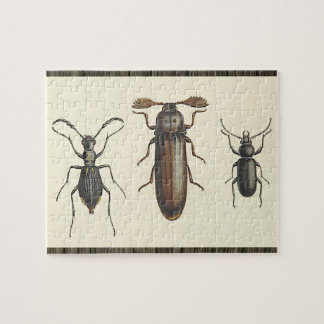 Three Side-By-Side Insects Puzzle