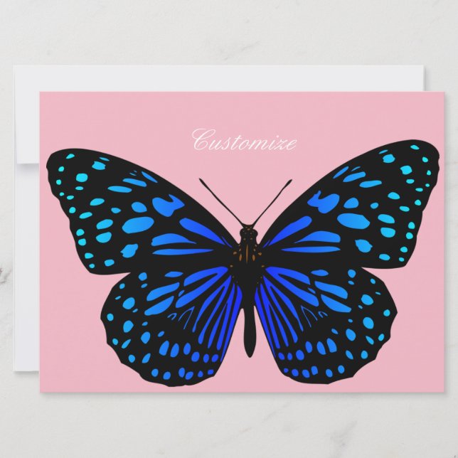 Thunder_Cove de mariposa azul (Anverso)