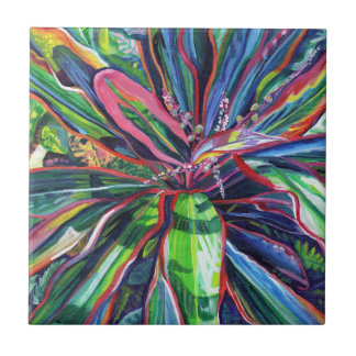 Ti Tropical Colorido Sale De Tejas Cerámicas