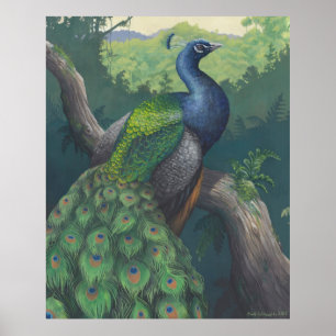 Tía de la impresión de pavo real