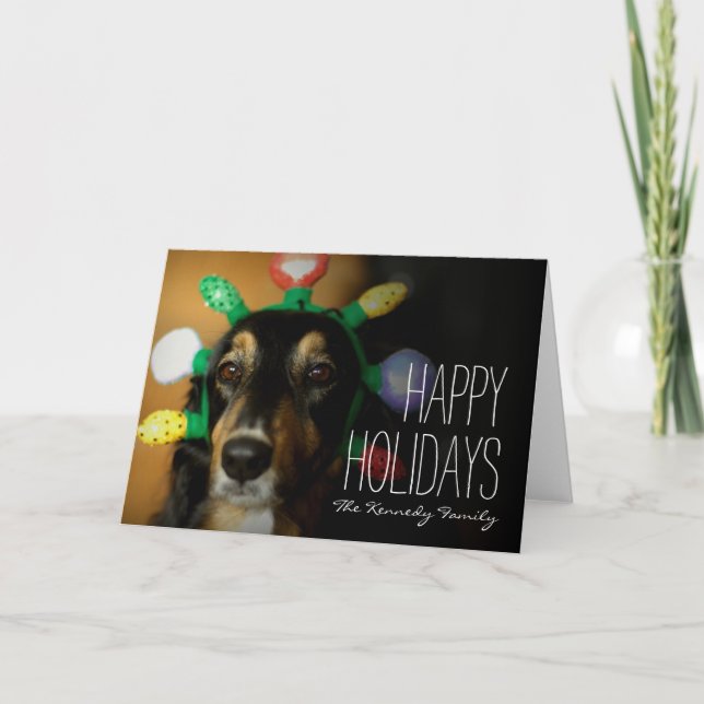 Tiara del navidad del perro que lleva (Anverso)