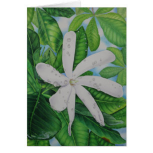 Tiare Tahití