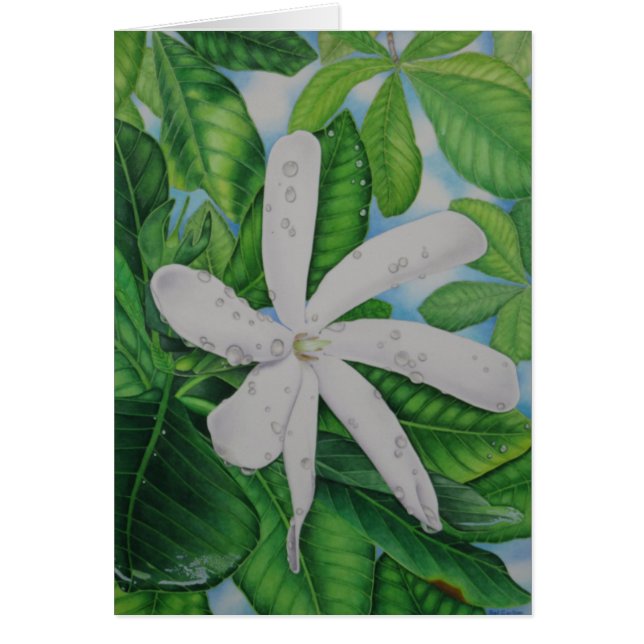 Tiare Tahití (Frente)