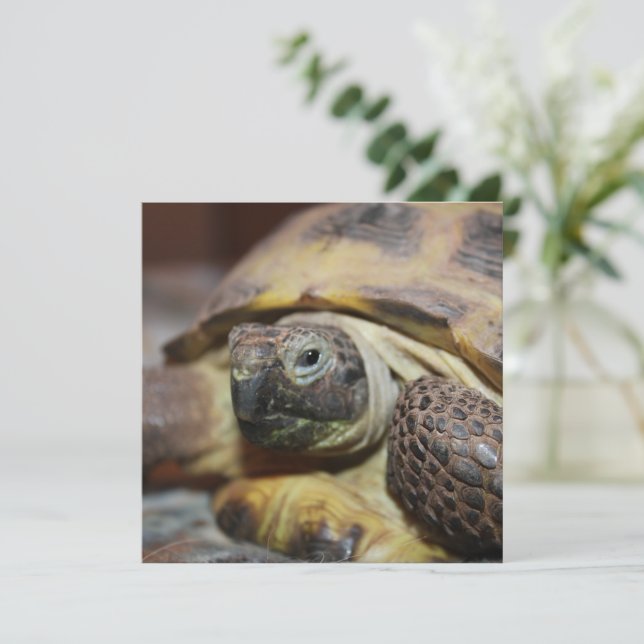 Tibbs (Anverso de pie)