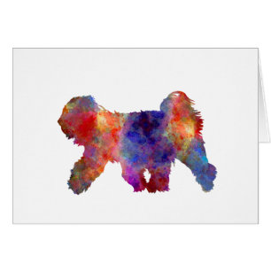 Tibetan Terrier in watercolor