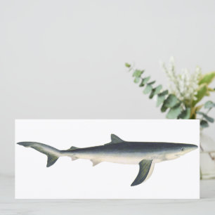 Tiburón azul vintage, vida marina acuática en el o