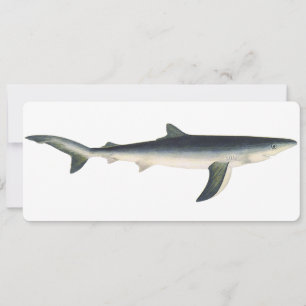 Tiburón azul vintage, vida marina acuática en el o