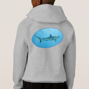 Tiburón de arrecife gris, isla Yap - Diseño fotogr