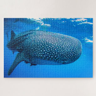 Tiburones Ballena Rompecabezas