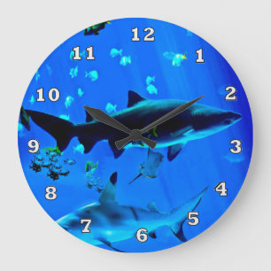 Tiburones de punta negra con reloj grande