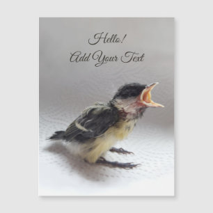 Tidi my Bird the Parus Major Magnetic Card