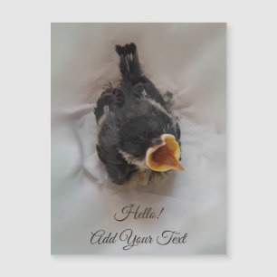 Tidi my Bird the Parus Major Magnetic Card
