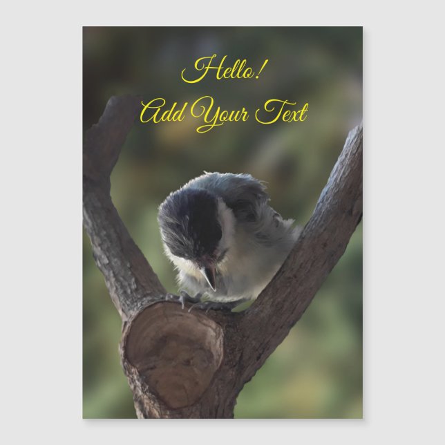 Tidi my Bird the Parus Major Magnetic Card (Anverso)