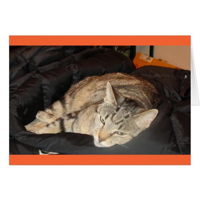 Tiempo De Amortización Para El Indigo (Anverso (Horizontal))