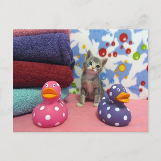 Tiempo de baño con Aidan - Tarjeta postal Ccat (Anverso)