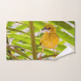 Tiempo de construir el nido