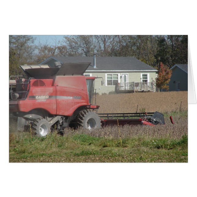 Tiempo de cosecha (Anverso (Horizontal))