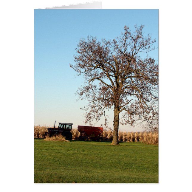 Tiempo de cosecha 2 (Frente)