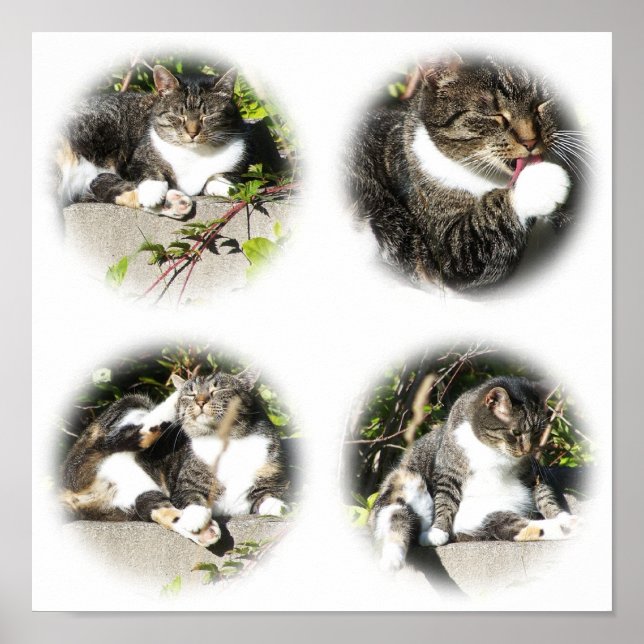 Tiempo De Descanso De Una Impresión De Collage De  (Frente)