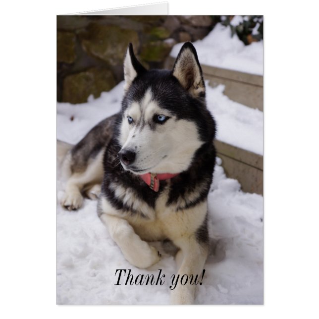 Tiempo De Descanso Tarjeta De Agradecimiento (Frente)