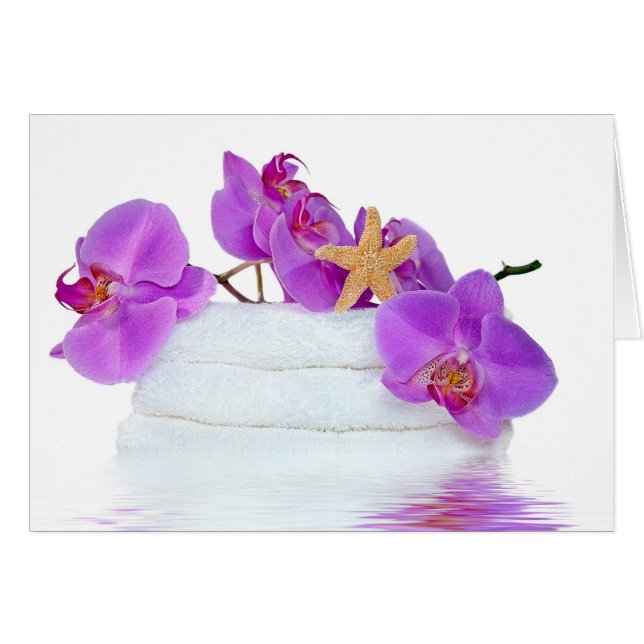 Tiempo de espera tropical agotado (Anverso (Horizontal))