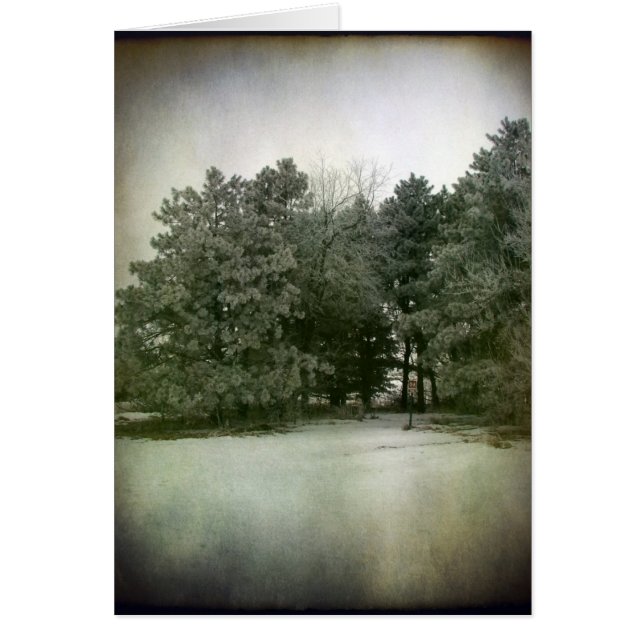 Tiempo de invierno (Frente)