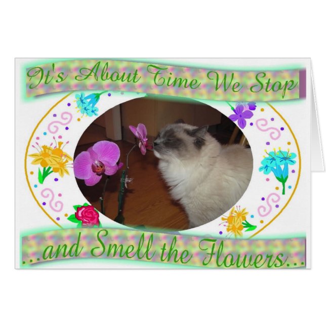 Tiempo de oler las flores (Anverso (Horizontal))