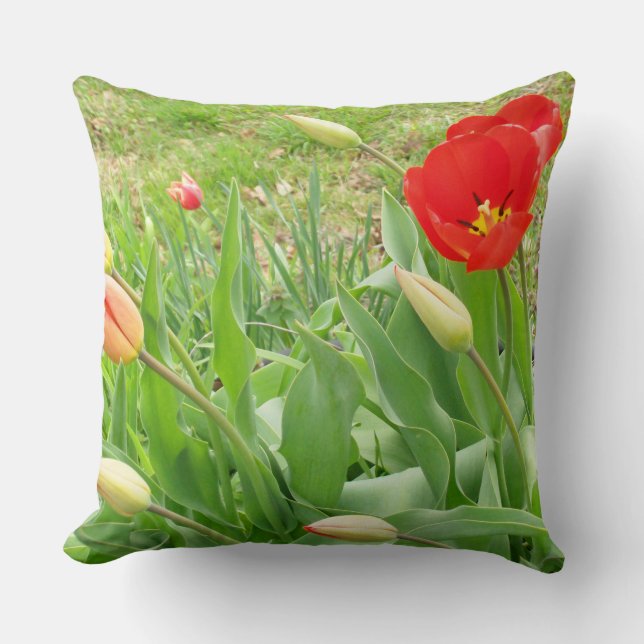 Tiempo de primavera 17 almohada cuadrada (Anverso)