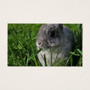 Tiempo de refrigerio