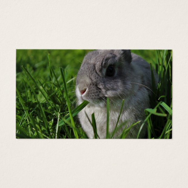 Tiempo de refrigerio (Frente)