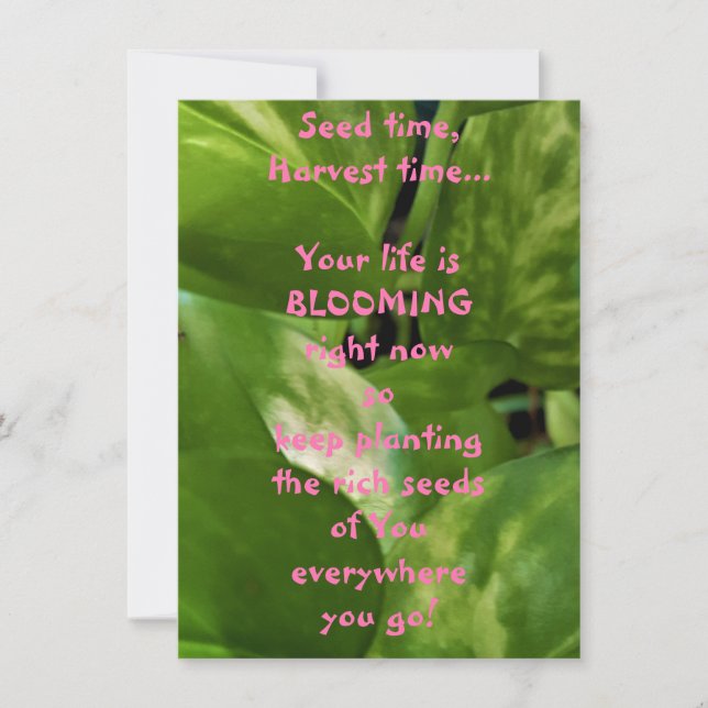 Tiempo de Semilla, Tiempo de cosecha Tarjeta de sa (Anverso)