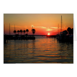 "Tiempo de suspensión" Dunedin Marina