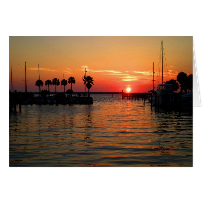 "Tiempo de suspensión" Dunedin Marina (Anverso (Horizontal))