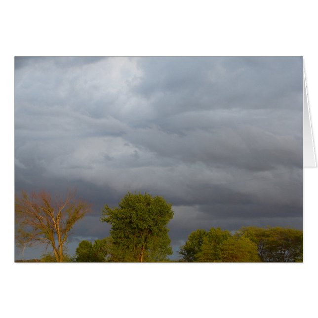 Tiempo de tormenta (Anverso (Horizontal))