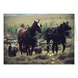 Tiempo de transmisión