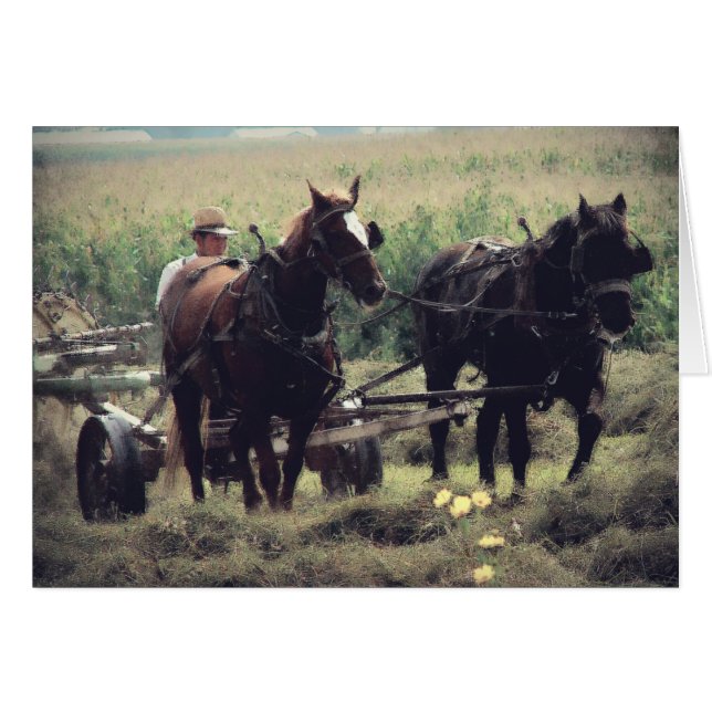 Tiempo de transmisión (Anverso (Horizontal))