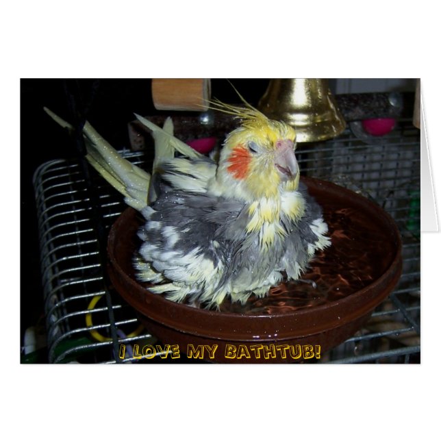 Tiempo del baño (Anverso (Horizontal))