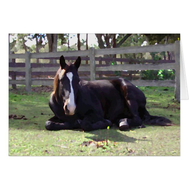 Tiempo Nap De Caballos (Anverso (Horizontal))