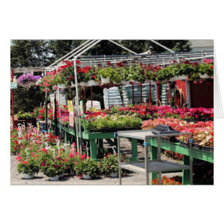 tienda de flores