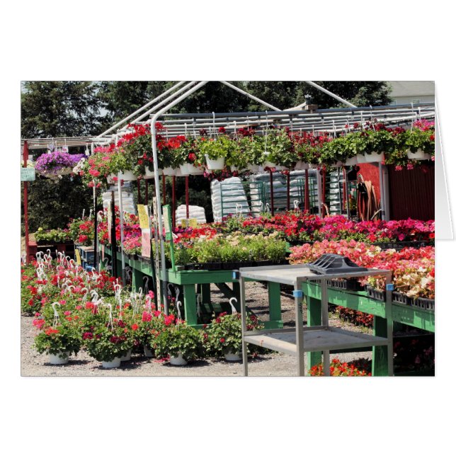 tienda de flores (Anverso (Horizontal))