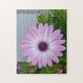 Tienes algo de tiempo en tu rompecabezas floral de