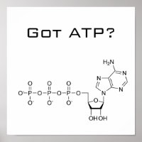 ¿Tienes ATP? Póster