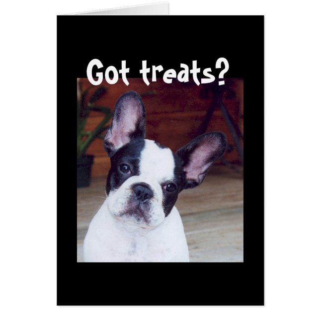 '¿Tienes golosinas?' (Frente)