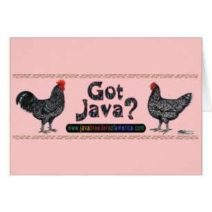 ¿Tienes Java?