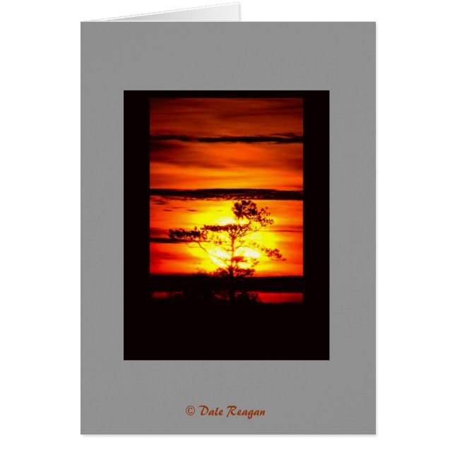 ¿Tienes luz? (Frente)