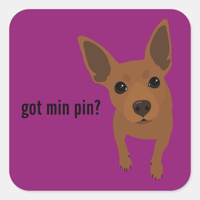 ¿Tienes Min Pin? Pegatina Miniature Pinscher (rojo (Anverso)